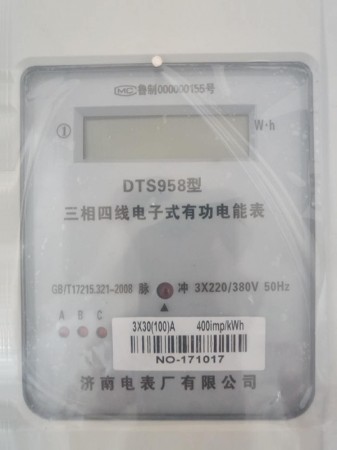 DTS958電能表